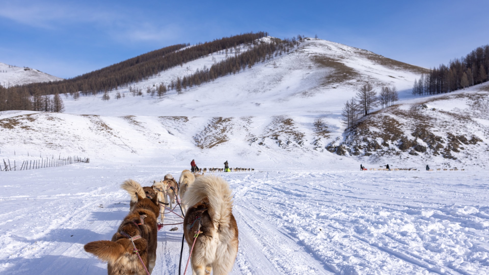 Winterabenteuer in der Taiga